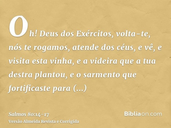 Oh! Deus dos Exércitos, volta-te, nós te rogamos, atende dos céus, e vê, e visita esta vinha,e a videira que a tua destra plantou, e o sarmento que fortificaste