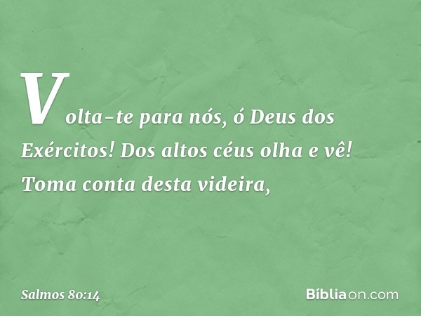 Volta-te para nós, ó Deus dos Exércitos!
Dos altos céus olha e vê!
Toma conta desta videira, -- Salmo 80:14