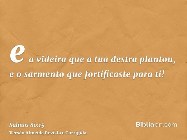 e a videira que a tua destra plantou, e o sarmento que fortificaste para ti!