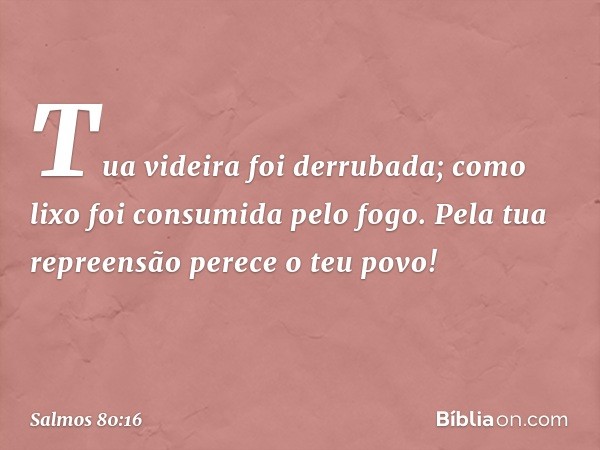 Tua videira foi derrubada;
como lixo foi consumida pelo fogo.
Pela tua repreensão perece o teu povo! -- Salmo 80:16