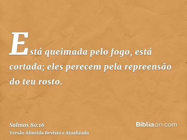 Está queimada pelo fogo, está cortada; eles perecem pela repreensão do teu rosto.