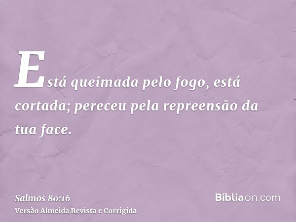 Está queimada pelo fogo, está cortada; pereceu pela repreensão da tua face.