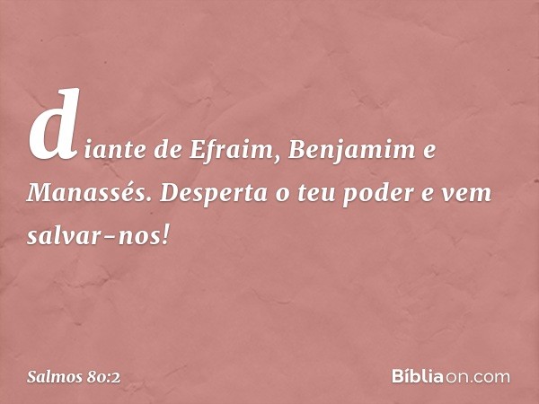 diante de Efraim, Benjamim e Manassés.
Desperta o teu poder e vem salvar-nos! -- Salmo 80:2