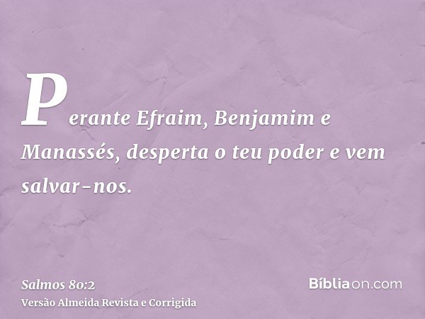 Perante Efraim, Benjamim e Manassés, desperta o teu poder e vem salvar-nos.