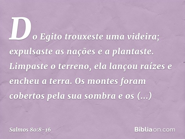 Do Egito trouxeste uma videira;
expulsaste as nações e a plantaste. Limpaste o terreno,
ela lançou raízes e encheu a terra. Os montes foram cobertos pela sua so