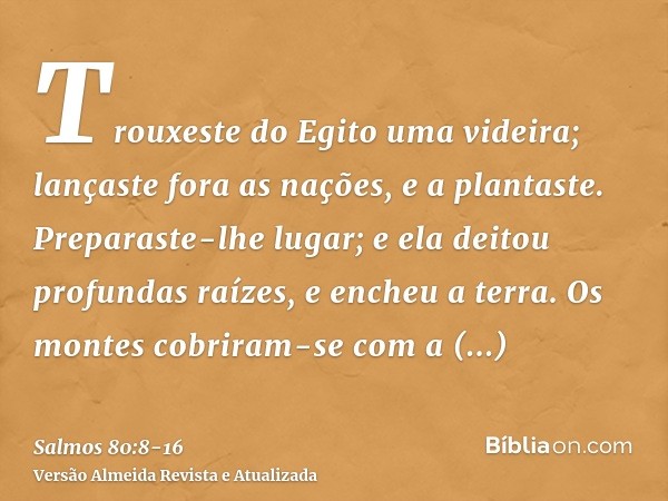 Trouxeste do Egito uma videira; lançaste fora as nações, e a plantaste.Preparaste-lhe lugar; e ela deitou profundas raízes, e encheu a terra.Os montes cobriram-