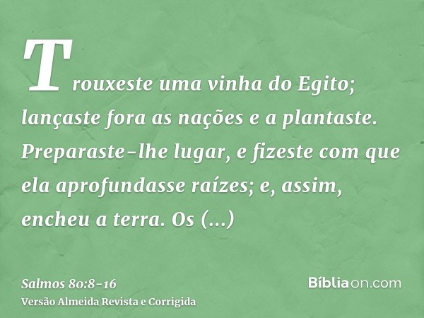 Trouxeste uma vinha do Egito; lançaste fora as nações e a plantaste.Preparaste-lhe lugar, e fizeste com que ela aprofundasse raízes; e, assim, encheu a terra.Os