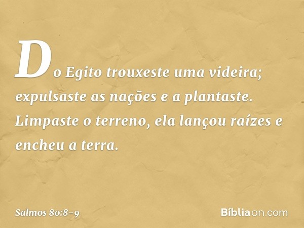 Do Egito trouxeste uma videira;
expulsaste as nações e a plantaste. Limpaste o terreno,
ela lançou raízes e encheu a terra. -- Salmo 80:8-9