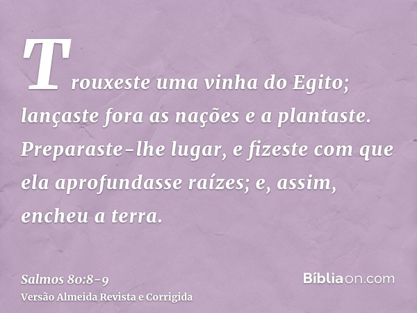 Trouxeste uma vinha do Egito; lançaste fora as nações e a plantaste.Preparaste-lhe lugar, e fizeste com que ela aprofundasse raízes; e, assim, encheu a terra.