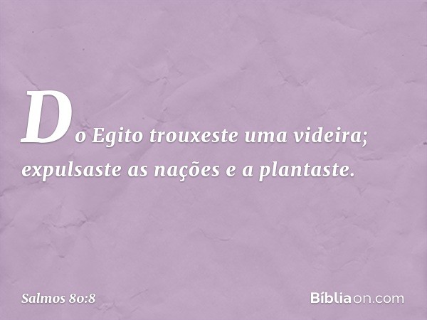 Do Egito trouxeste uma videira;
expulsaste as nações e a plantaste. -- Salmo 80:8