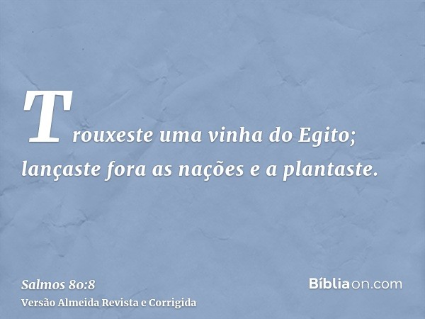 Trouxeste uma vinha do Egito; lançaste fora as nações e a plantaste.