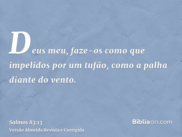 Deus meu, faze-os como que impelidos por um tufão, como a palha diante do vento.