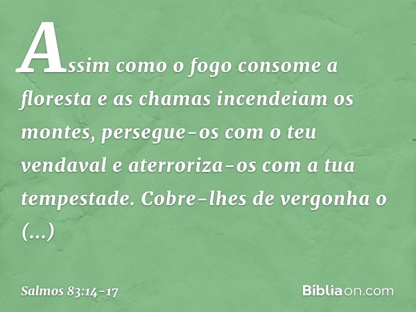 Assim como o fogo consome a floresta
e as chamas incendeiam os montes, persegue-os com o teu vendaval
e aterroriza-os com a tua tempestade. Cobre-lhes de vergon