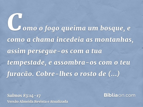 Como o fogo queima um bosque, e como a chama incedeia as montanhas,assim persegue-os com a tua tempestade, e assombra-os com o teu furacão.Cobre-lhes o rosto de