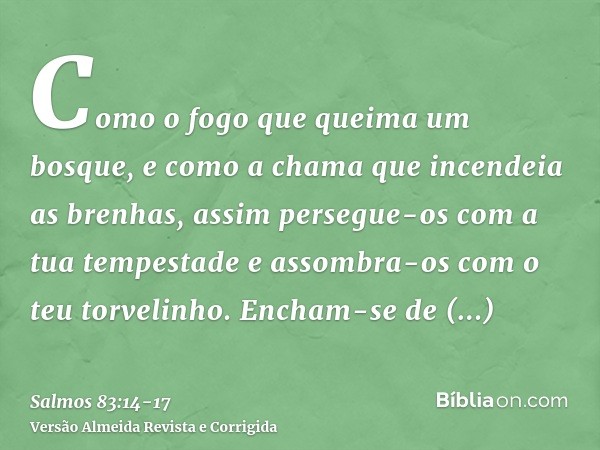 Como o fogo que queima um bosque, e como a chama que incendeia as brenhas,assim persegue-os com a tua tempestade e assombra-os com o teu torvelinho.Encham-se de