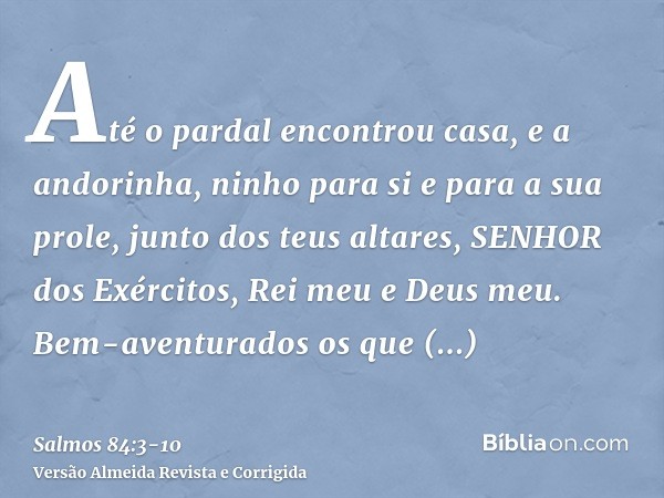 Até o pardal encontrou casa, e a andorinha, ninho para si e para a sua prole, junto dos teus altares, SENHOR dos Exércitos, Rei meu e Deus meu.Bem-aventurados o