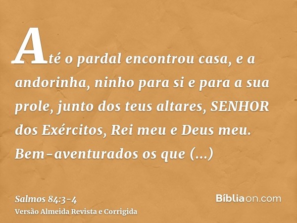 Até o pardal encontrou casa, e a andorinha, ninho para si e para a sua prole, junto dos teus altares, SENHOR dos Exércitos, Rei meu e Deus meu.Bem-aventurados o