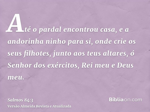 Até o pardal encontrou casa, e a andorinha ninho para si, onde crie os seus filhotes, junto aos teus altares, ó Senhor dos exércitos, Rei meu e Deus meu.