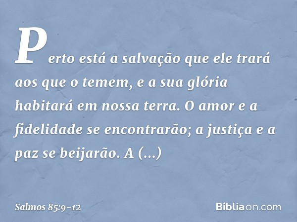 Perto está a salvação que ele trará
aos que o temem,
e a sua glória habitará em nossa terra. O amor e a fidelidade se encontrarão;
a justiça e a paz se beijarão