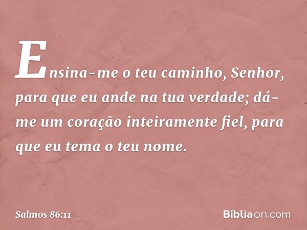 Ensina-me o teu caminho, Senhor,
para que eu ande na tua verdade;
dá-me um coração inteiramente fiel,
para que eu tema o teu nome. -- Salmo 86:11