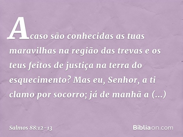 Acaso são conhecidas as tuas maravilhas
na região das trevas
e os teus feitos de justiça
na terra do esquecimento? Mas eu, Senhor, a ti clamo por socorro;
já de