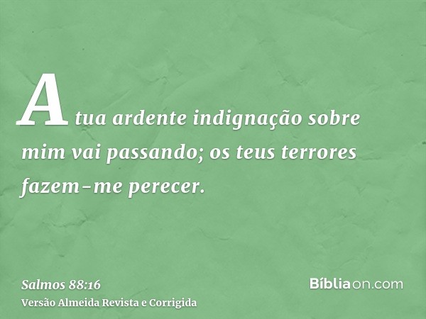 A tua ardente indignação sobre mim vai passando; os teus terrores fazem-me perecer.