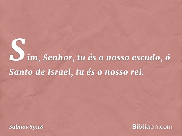 Sim, Senhor, tu és o nosso escudo,
ó Santo de Israel, tu és o nosso rei. -- Salmo 89:18