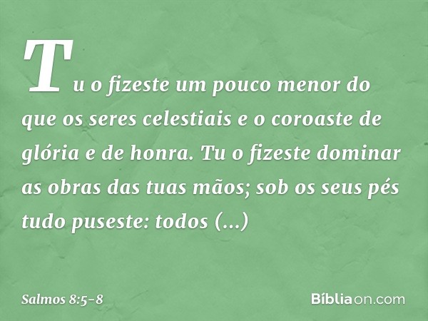 Tu o fizeste um pouco menor
do que os seres celestiais
e o coroaste de glória e de honra. Tu o fizeste dominar
as obras das tuas mãos;
sob os seus pés tudo puse