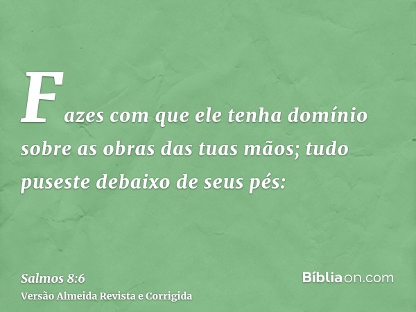 Fazes com que ele tenha domínio sobre as obras das tuas mãos; tudo puseste debaixo de seus pés:
