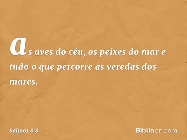 as aves do céu, os peixes do mar
e tudo o que percorre as veredas dos mares. -- Salmo 8:8