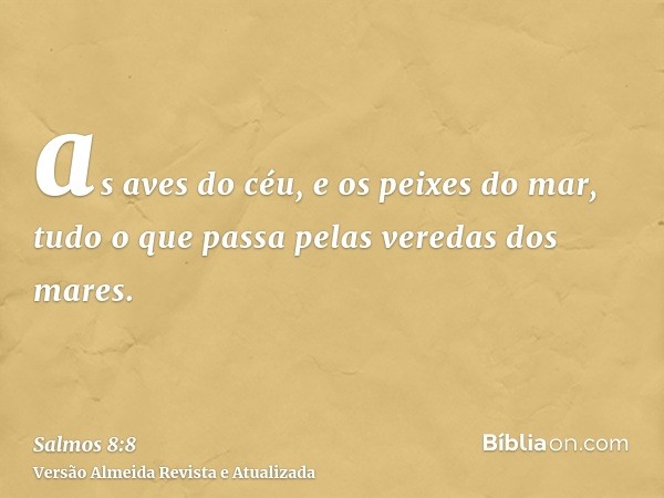 as aves do céu, e os peixes do mar, tudo o que passa pelas veredas dos mares.