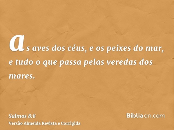 as aves dos céus, e os peixes do mar, e tudo o que passa pelas veredas dos mares.
