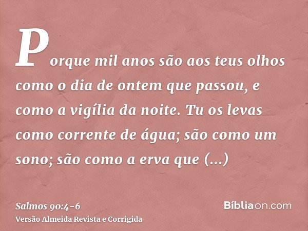 Porque mil anos são aos teus olhos como o dia de ontem que passou, e como a vigília da noite.Tu os levas como corrente de água; são como um sono; são como a erv