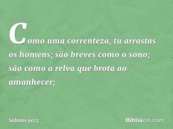 Como uma correnteza, tu arrastas os homens;
são breves como o sono;
são como a relva que brota ao amanhecer; -- Salmo 90:5