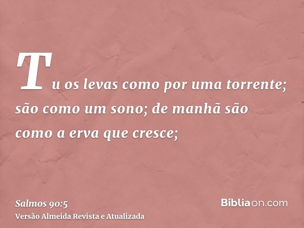 Tu os levas como por uma torrente; são como um sono; de manhã são como a erva que cresce;