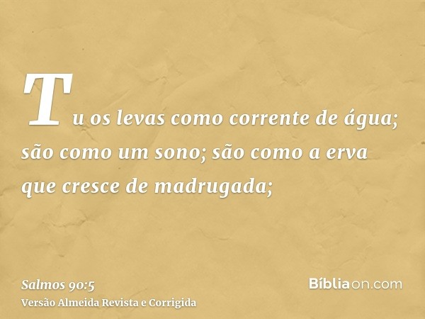 Tu os levas como corrente de água; são como um sono; são como a erva que cresce de madrugada;