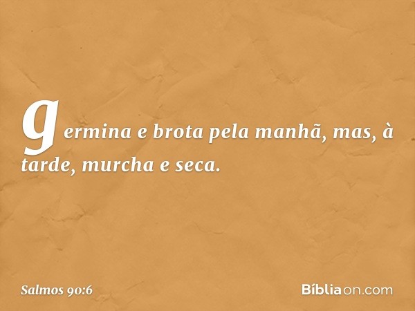 germina e brota pela manhã,
mas, à tarde, murcha e seca. -- Salmo 90:6