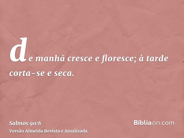 de manhã cresce e floresce; à tarde corta-se e seca.