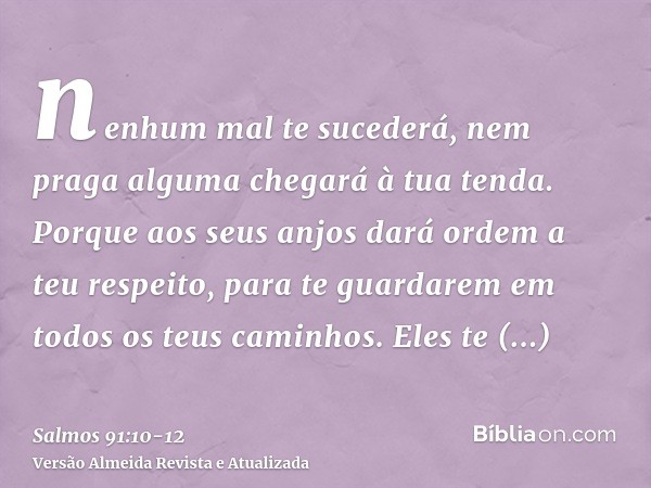 nenhum mal te sucederá, nem praga alguma chegará à tua tenda.Porque aos seus anjos dará ordem a teu respeito, para te guardarem em todos os teus caminhos.Eles t