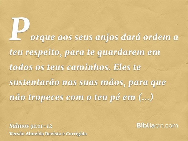 Porque aos seus anjos dará ordem a teu respeito, para te guardarem em todos os teus caminhos.Eles te sustentarão nas suas mãos, para que não tropeces com o teu 