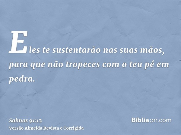 Eles te sustentarão nas suas mãos, para que não tropeces com o teu pé em pedra.