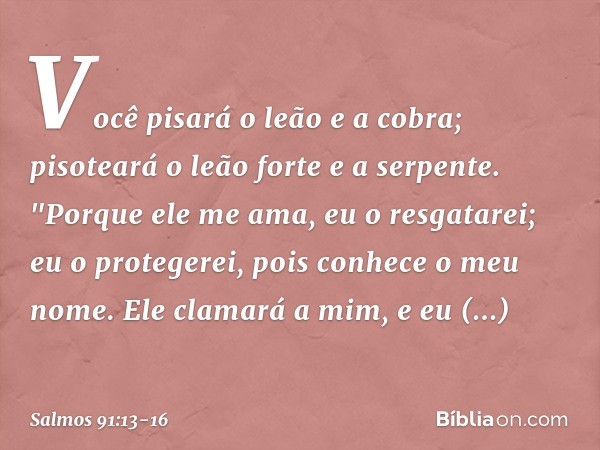 Você pisará o leão e a cobra;
pisoteará o leão forte e a serpente. "Porque ele me ama, eu o resgatarei;
eu o protegerei, pois conhece o meu nome. Ele clamará a