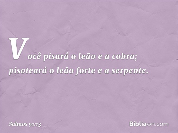 Você pisará o leão e a cobra;
pisoteará o leão forte e a serpente. -- Salmo 91:13