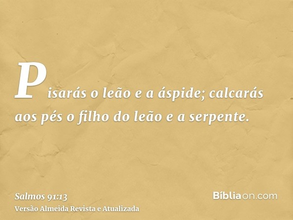 Pisarás o leão e a áspide; calcarás aos pés o filho do leão e a serpente.