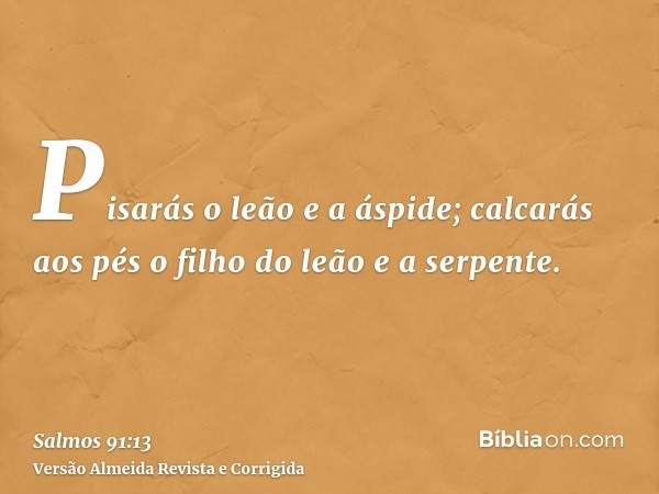 Pisarás o leão e a áspide; calcarás aos pés o filho do leão e a serpente.