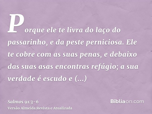 Porque ele te livra do laço do passarinho, e da peste perniciosa.Ele te cobre com as suas penas, e debaixo das suas asas encontras refúgio; a sua verdade é escu