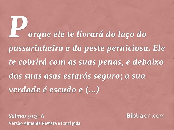 Porque ele te livrará do laço do passarinheiro e da peste perniciosa.Ele te cobrirá com as suas penas, e debaixo das suas asas estarás seguro; a sua verdade é e