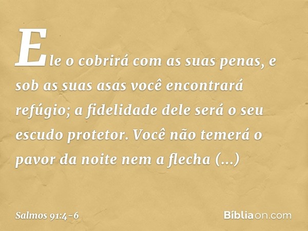 Ele o cobrirá com as suas penas,
e sob as suas asas você encontrará refúgio;
a fidelidade dele será o seu escudo protetor. Você não temerá o pavor da noite
nem 