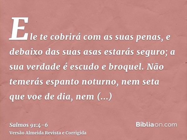 Ele te cobrirá com as suas penas, e debaixo das suas asas estarás seguro; a sua verdade é escudo e broquel.Não temerás espanto noturno, nem seta que voe de dia,