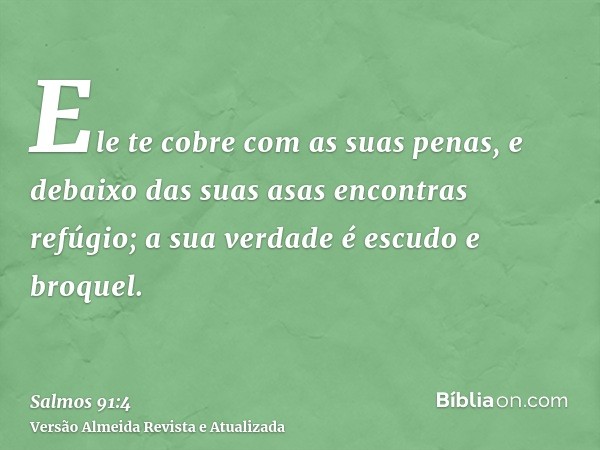 Ele te cobre com as suas penas, e debaixo das suas asas encontras refúgio; a sua verdade é escudo e broquel.